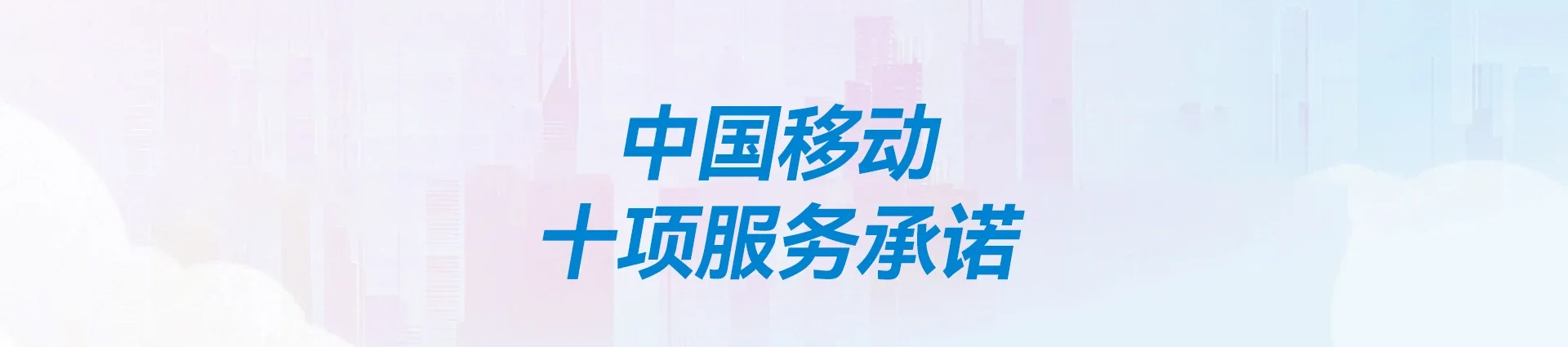 振安区移动宽带